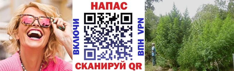 Наркота Нальчик МЕГА как войти  A PVP  Каннабис  Мефедрон  Кокаин 