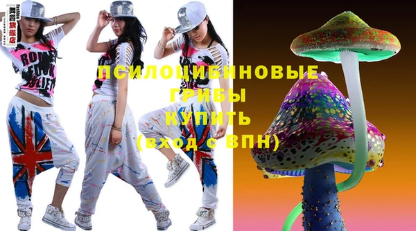 бошки Абаза