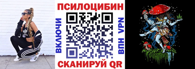 Псилоцибиновые грибы MAGIC MUSHROOMS  как найти наркотики  Нальчик 